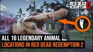 ALL 16 Legendary Animal Locations in Red Dead Redemption 2 [upl. by Shreve]