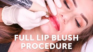 Full Lip Blush Procedure  Tina Davies Professional I 💋 INK [upl. by Brodench]