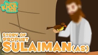 Prophet Stories In English  Prophet Sulaiman AS Story Stories Of The Prophets  Quran Stories [upl. by Leith140]