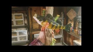 DIY Fiberglass Resin Taxidermy Fish Mount [upl. by Alrrats414]