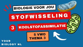 5 vwo  Stofwisseling  3  Koolstofassimilatie  Fotosynthese [upl. by Endys]