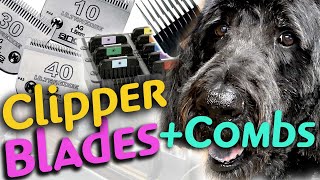 How to use DOG GROOMING CLIPPER BLADES and COMB ATTACHMENTS on a LARGE DOODLE [upl. by Nosac]