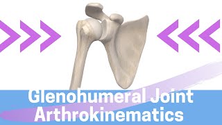 Shoulder Kinesiology Glenohumeral Joint Movement [upl. by Atenahs]