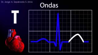 Electrocardiografía Básica Parte 14 [upl. by Rory]