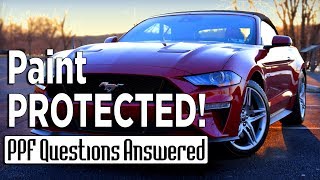 Paint Protection Film  PPF Installation Tips  XPEL [upl. by Wye]