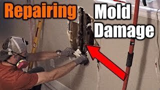 How To Repair Mold Damaged Walls  THE HANDYMAN [upl. by Mikkanen]