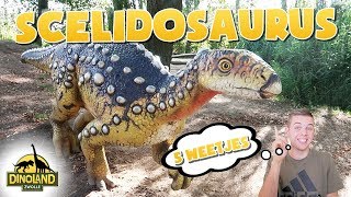 5 weetjes over de Scelidosaurus Dinoland Zwolle [upl. by Scopp]