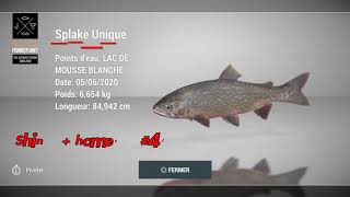 SPLAKE UNIQUE  MOUSSE BLANCHE  FISHING PLANET FISHERMAN [upl. by Herrington110]