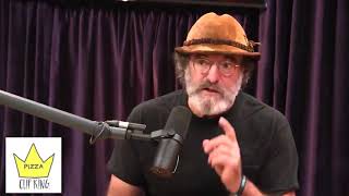 Paul Stamets telling Joe Rogan about the incredible benefits of Lions Mane mushrooms [upl. by Norud]