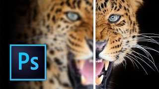 How to Sharpen Images in Photoshop [upl. by Gustin]