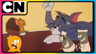 Tom and Jerry 😺🐭 The Great Stinky Fruit War  Cartoon for Kids 😍 Cat and Mouse ✨ cnindia [upl. by Sesom]