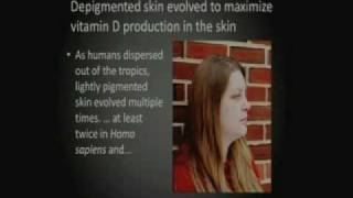 The Evolution of Human Skin Pigmentation [upl. by Oz]