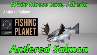 Antlered Salmon  White Moose Lake Alberta  Fishing Planet Guide [upl. by Esirtal]