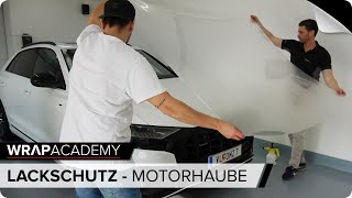 Motorhaube mit Lackschutzfolie folieren wrapacademy [upl. by Main]