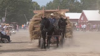 Old Threshers Reunion  Mt Pleasant Iowa [upl. by Adnauqaj]