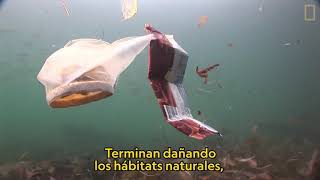 La historia del plastico Nat Geo Traducido [upl. by Yelbmik]