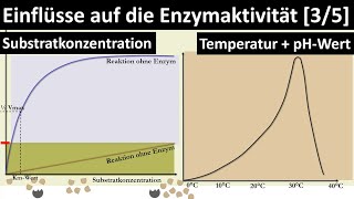 Einflüsse auf die Enzymaktivität Substratkonzentration Temperatur pHWert RGTRegel  35 [upl. by Feriga]