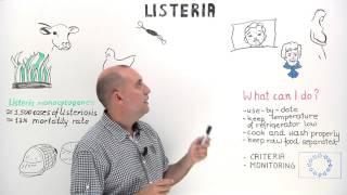 Listeria infections in humans [upl. by Fidela]