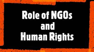 NGOs and Human Rights Role and Importance [upl. by Eladnar]