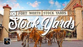 Fort Worth Stockyards  Cowboy Experience [upl. by Stedmann]