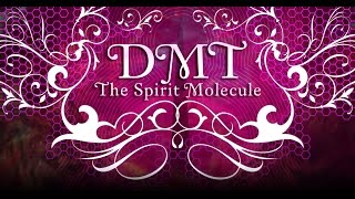 DMT The Spirit Molecule 2010 multi subs [upl. by Lemmor958]