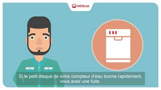 Veolia  comment détecter facilement une fuite deau [upl. by Edniya9]