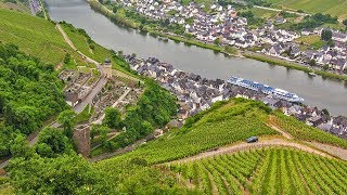 German Riesling Wine Journey [upl. by Notfilc544]