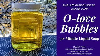 DIY Easy 30Minute Liquid Soap  Recipe Included  The Ultimate Guide to Liquid So [upl. by Milone]