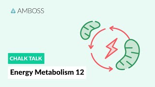 Energy Metabolism  Part 12 Ketone Body Metabolism [upl. by Mcculloch]