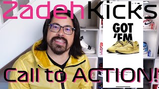 ZadehKicks Update CALL TO ACTION This is OUR Story Help me tell it [upl. by Yhtimit]