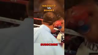 MAGSAYO VS SUAREZ Fight Highlights [upl. by Akkahs]