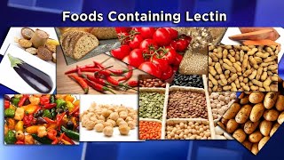 Lectins The New Diet Enemy [upl. by Shandy]