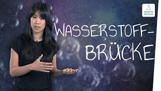 Was sind Wasserstoffbrückenbindungen I musstewissen Chemie [upl. by Brnaby]