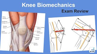 What is Biomechanics amp Kinesiology The Future [upl. by Tallulah]