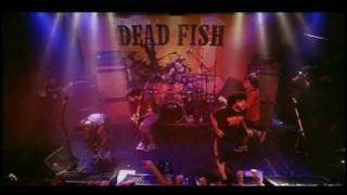 Dead Fish  Afasia  MTV Apresenta [upl. by Edith678]