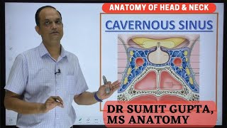 CAVERNOUS SINUS  Boundaries  Contents  Thrombosis [upl. by Kahaleel928]