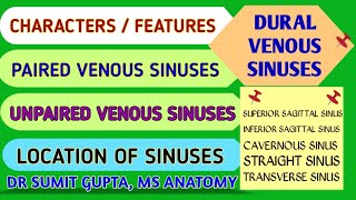 DURAL VENOUS SINUSES  Features  Interconnections Location  Classification [upl. by Mloclam]