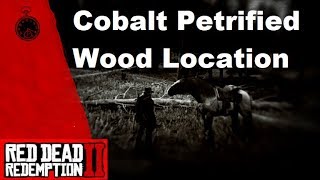 Red Dead Redemption 2 Cobalt Petrified Wood Location [upl. by Aeslahc]