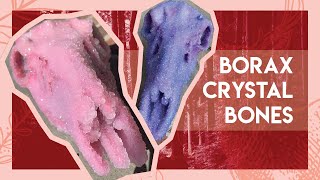 DIY Borax Crystal Bones [upl. by Esinrahs]