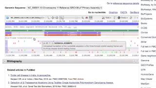 NCBI sequence viewer [upl. by Icnan]