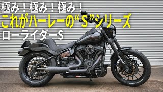 極み！極み！極み！これがハーレーの“Ｓ”シリーズだ！！2020 ローライダーS Low Rider S FXLRS [upl. by Aicercal]