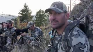 Bow Hunting Elk in Montana [upl. by Bonilla]