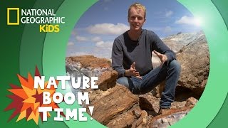 Petrified Forest National Park  Nature Boom Time  natgeokids [upl. by Kciv]