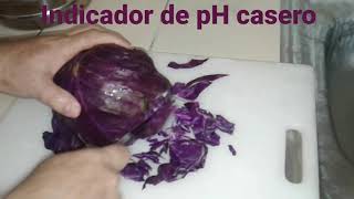 Indicador de pH caseroRepollo morado [upl. by Bresee845]