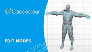 Cascadeur Tutorial  Edit Modes [upl. by Ynattib264]