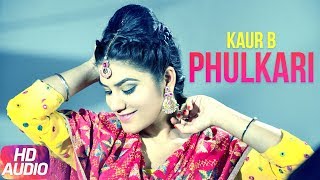 Phulkari Full Audio Song  Desi Robinhood  Kaur B  Latest Punjabi Audio Song 2017 [upl. by Dnalel]