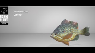 Fishing Planet  White Moose Lake  Pumpkinseed  Float [upl. by Marcell813]