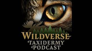 Episode 9  Taxidermy FAQ [upl. by Amari]