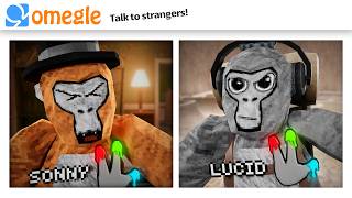 OMEGLE Trolling in Gorilla Tag [upl. by Nortad]