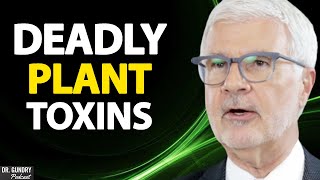 Lectins Plant Toxins Explained  Dr Gundry Clips [upl. by Nihahs]